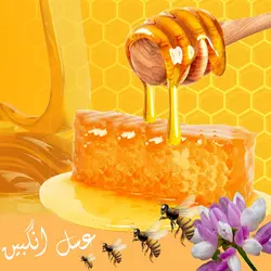 عسل انگبین - آجیل باشی