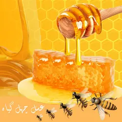 عسل چهل گیاه - آجیل باشی