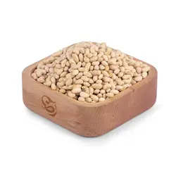 سویا آجیلی