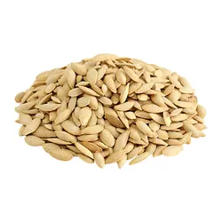 تخمه کدو - فروشگاه خشکبار | آجیل لند - بهترین قیمت انواع آجیل و خشکبار