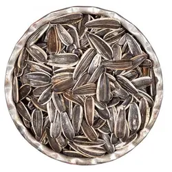 تخمه آفتابگردان خارجی