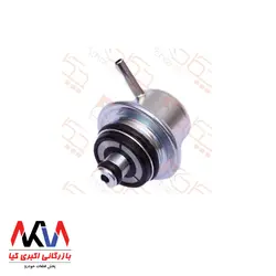 رگلاتور سوخت با لوله اصلی چکاد