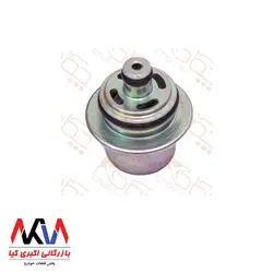 رگلاتور سوخت بدون لوله چکاد