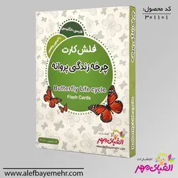 فلش کارت چرخه زندگی پروانه