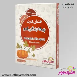 فلش کارت چرخه زندگی کدو