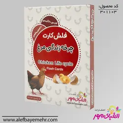 فلش کارت چرخه زندگی مرغ