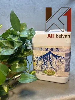 کود ریشه زا شوک مایع 5 لیتری