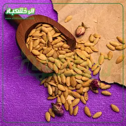 تخمه کدو مشهدی دوآتیشه