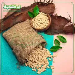 تخمه کدو مشهدی شور