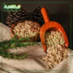 تخمه کدو مشهدی خام