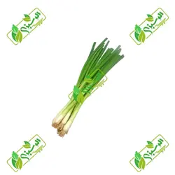 سبزی پیازچه پاک شده_شسته شده_خرد نشده تازه – کد X-V10031