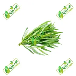 سبزی ترخون پاک شده_شسته شده_خرد نشده تازه – کد X-V1006