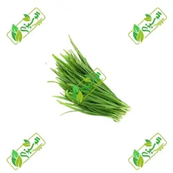 سبزی تره پاک شده_شسته شده_خرد نشده تازه – کد X-V1008