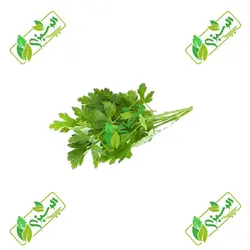 سبزی جعفری پاک شده_شسته شده_خرد نشده تازه – کد X-V1009