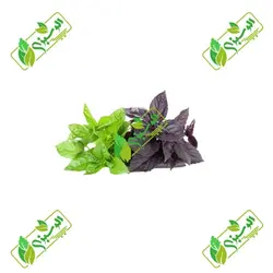 سبزی ریحان پاک شده_شسته شده_خرد نشده تازه – کد X-V10014