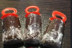 لواشک پستونکی ۵۰عددی