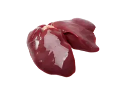 جگرسیاه گوساله