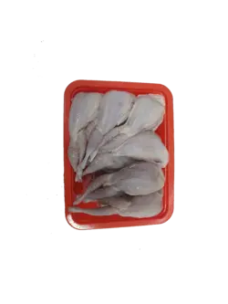 بلدرچین