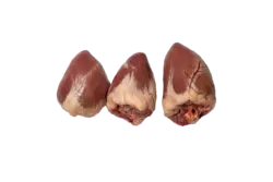 دل گوسفند