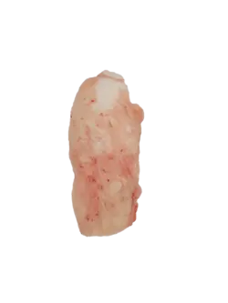 دنبه