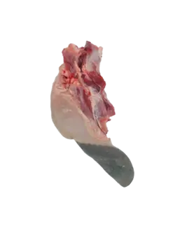 زبان گوساله