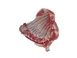 سردست گوسفندی