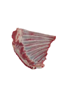 سرسینه گوسفندی