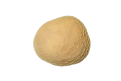 سیرابی گوسفند