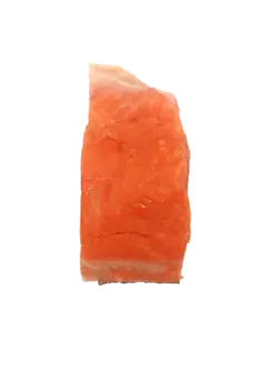 فیله سالمون