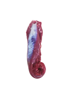 فیله گوساله