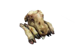 کله پاچه گوسفند