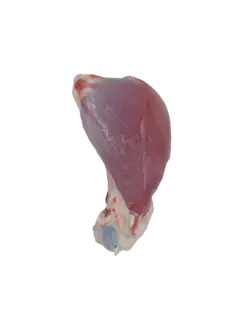 قلم ماهیچه ران گوسفندی