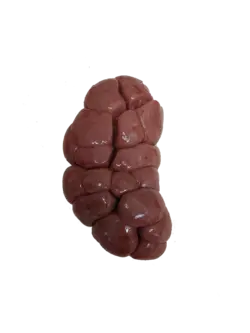 قلوه گوساله