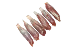 گل ماهیچه