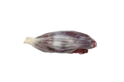 گل ماهیچه گوساله
