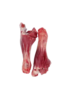 ماهیچه  گوسفندی