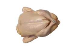 مرغ تازه تهران