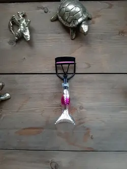 فرمژه پری دریایی