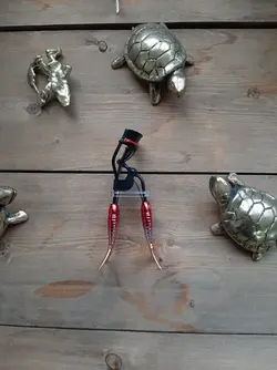 فرمژه پری دریایی