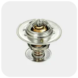 ترموستات جک S5