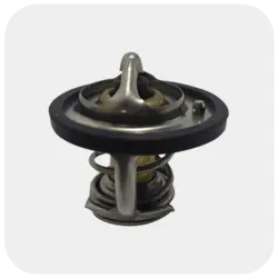 ترموستات جیلی امگرند EC7/RV7