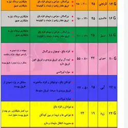 آنژیوکت زرد سایز 24
