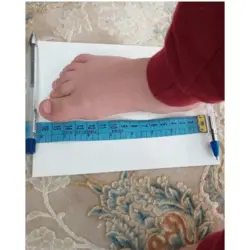 کفش دینو