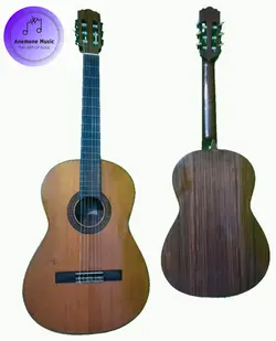 گیتار Zen on gut guitar G90 - قیمت گیتارZen on gut guitar