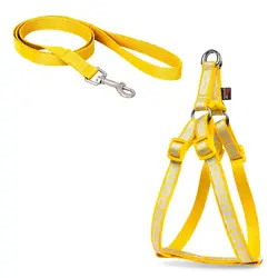 قلاده کتفی  سایز 1 طرحدار ( توپی  ) همراه با لید