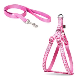 قلاده کتفی  سایز 1 طرحدار ( توپی  ) همراه با لید