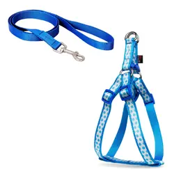 قلاده کتفی  سایز 2 طرحدار ( توپی  ) همراه با لید