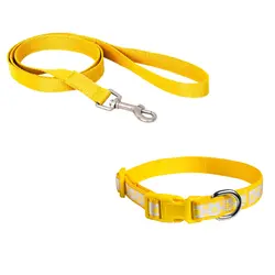 قلاده گردنی تسمه ای سایز 1 (توپی) همراه با لید