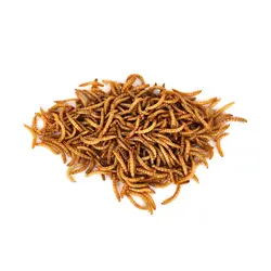 میل ورم خشک شده مخصوص پرندگان و خزندگان بسته 60 گرمی