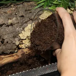 JBL TerraBasis بستر تراریوم های مرطوب و خزندگان